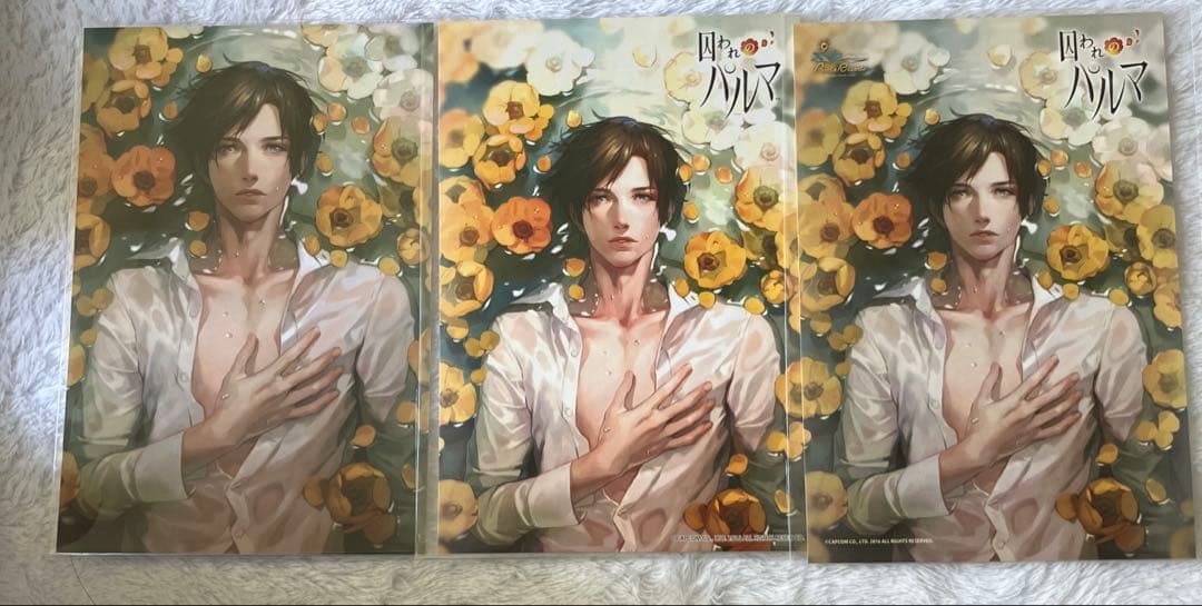 囚われのパルマ ハルト プロマイド ポストカード