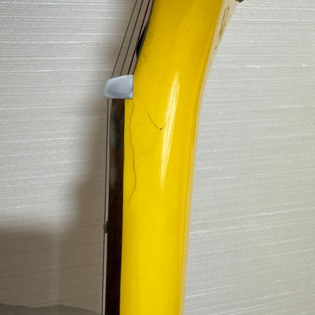 photogenic レスポールタイプ