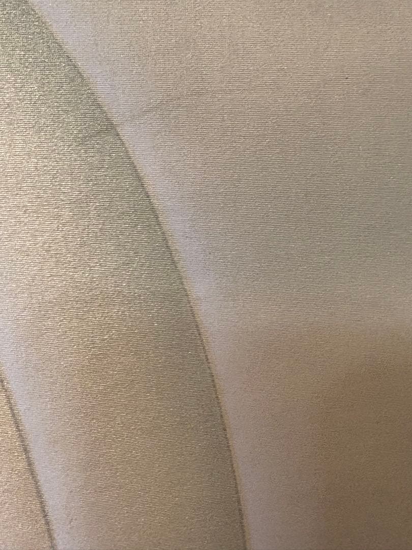 「観音像」　翠峰　掛け軸 掛軸 二重箱　雲上観音　桐共箱二重箱付