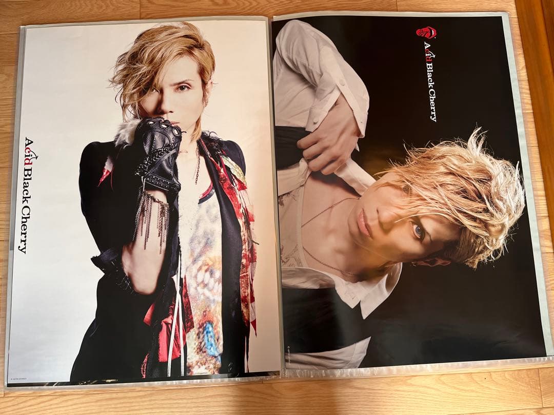 32枚Acid Black Cherry CD予約特典・ツアーポスター　②