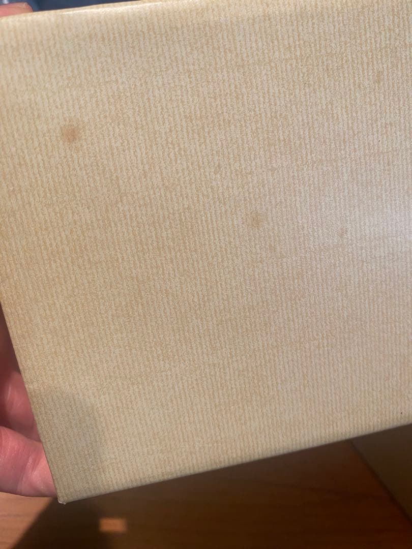 シュタイフ シュガー　テディベア