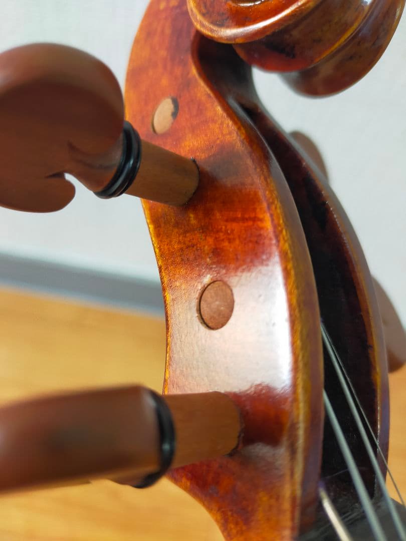 ヴァイオリン（a comtemporary violin）