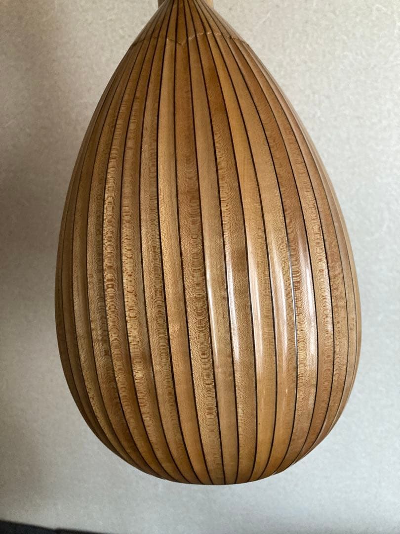 マンドリン（サウンドエナ M-160）ケース付き