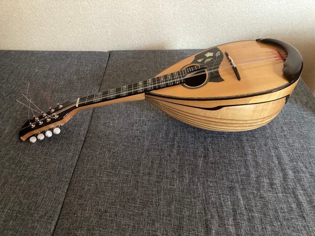 マンドリン（サウンドエナ M-160）ケース付き