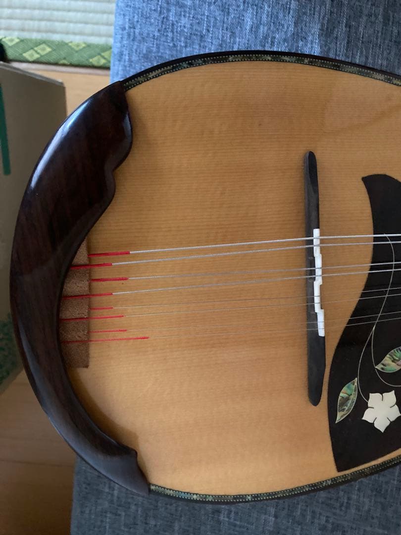 マンドリン（サウンドエナ M-160）ケース付き