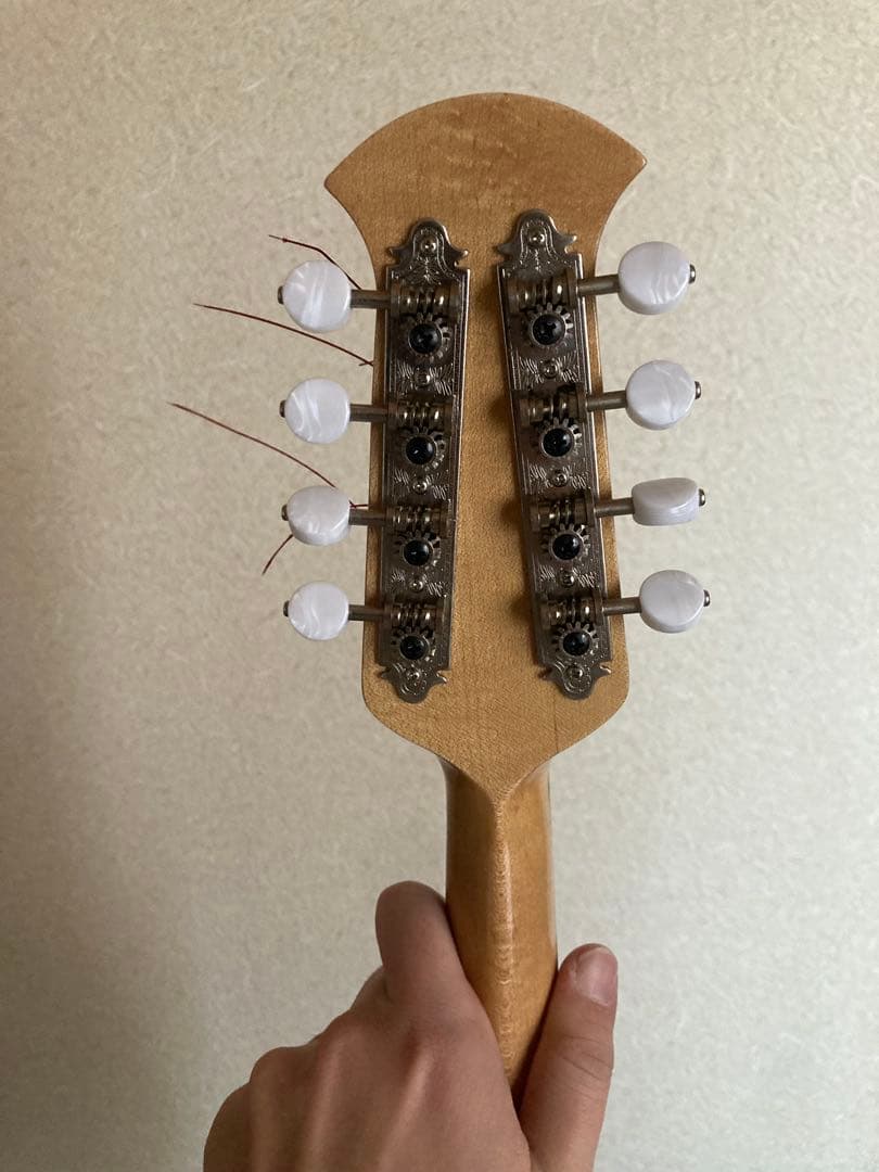 マンドリン（サウンドエナ M-160）ケース付き