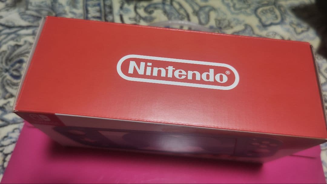 【ほぼ新品】Nintendo Switch Lite ターコイズ　＋保護フィルム