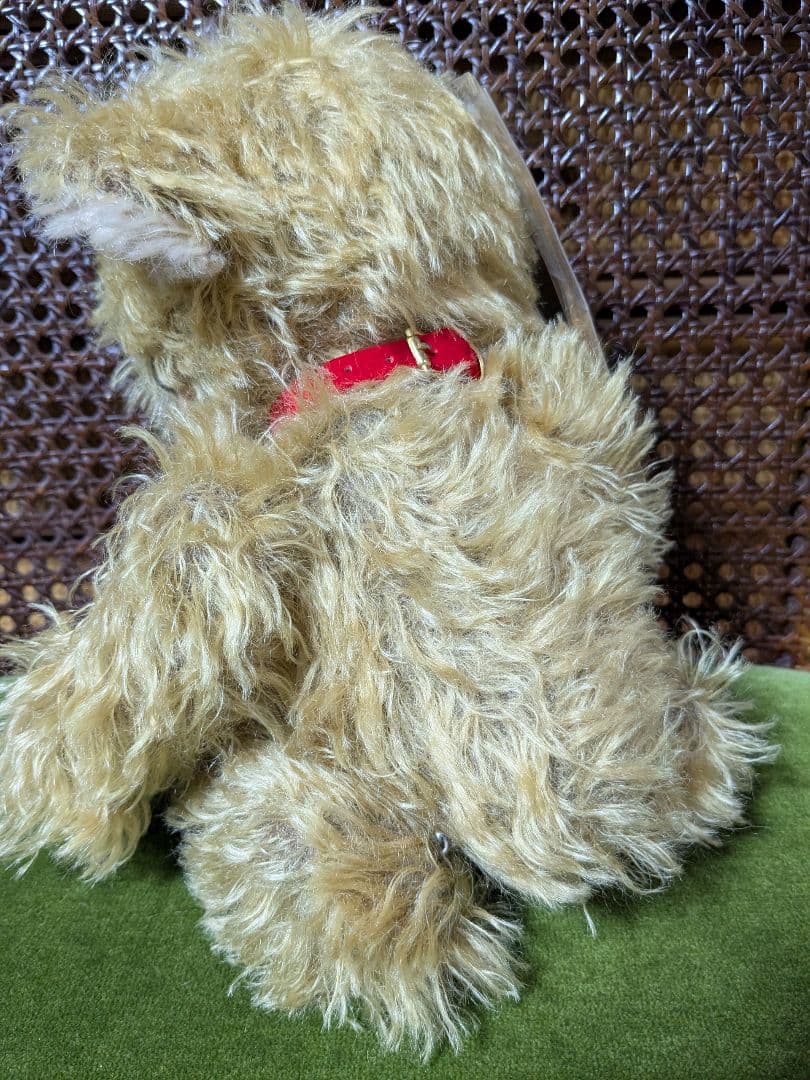 メリーソート　チーキー