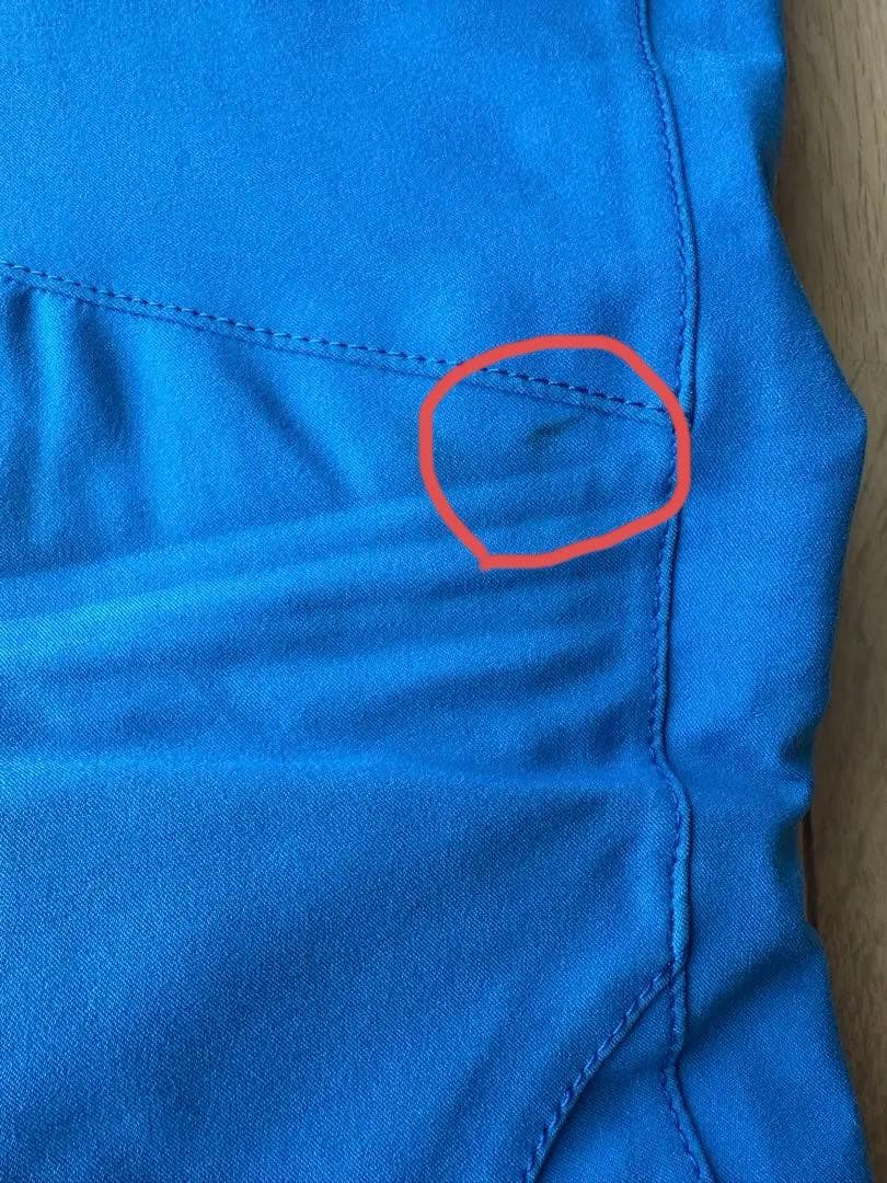 used ゴールドウイン スキーパンツ M スカイブルー