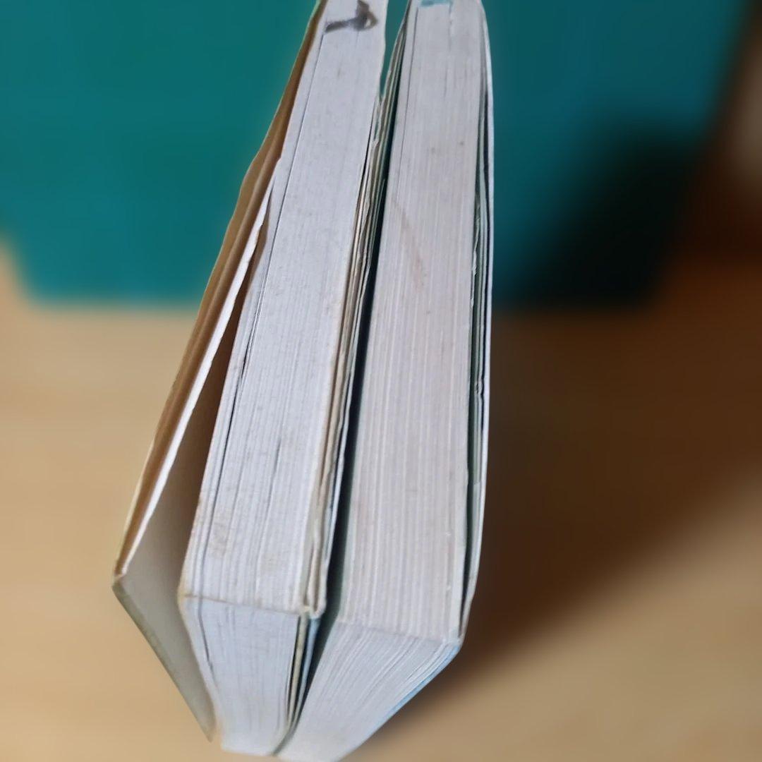 2冊　手筋事典 上・中巻　囲碁　解説本　名誉九段：瀬越憲作　九段：呉 清源