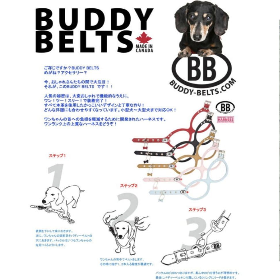 875☆ＢＢベルト バディーベルト 4.5号 キャラメル カスタマイズ