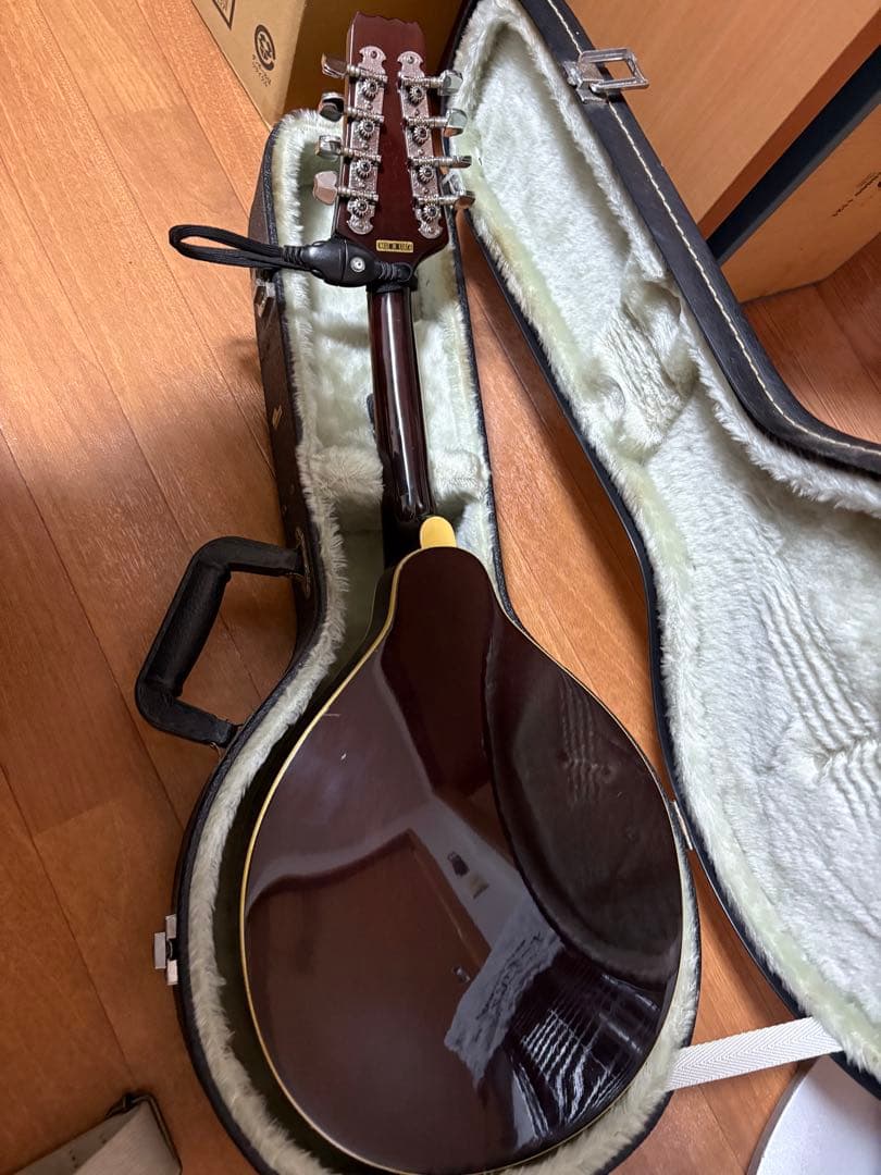 ARIA AM-20E フラットマンドリン