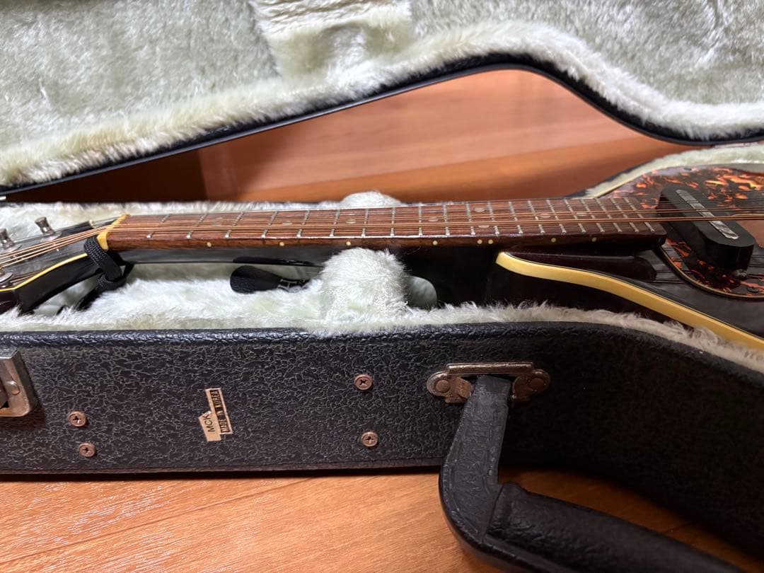 ARIA AM-20E フラットマンドリン