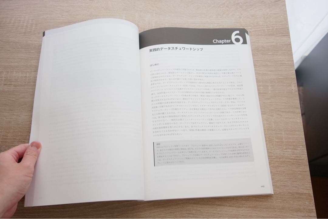 データ スチュワードシップ　データマネジメント&ガバナンスの実践ガイド