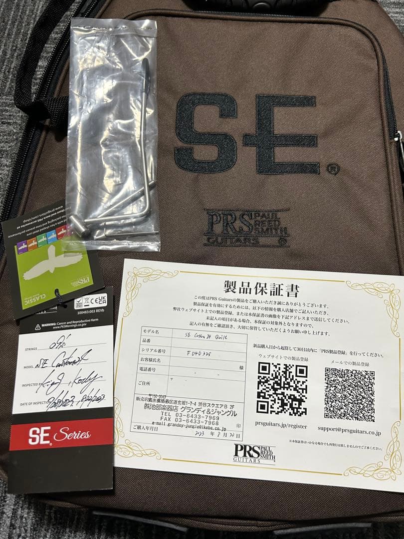 PRS SE Custom 24 ロックペグ交換済み