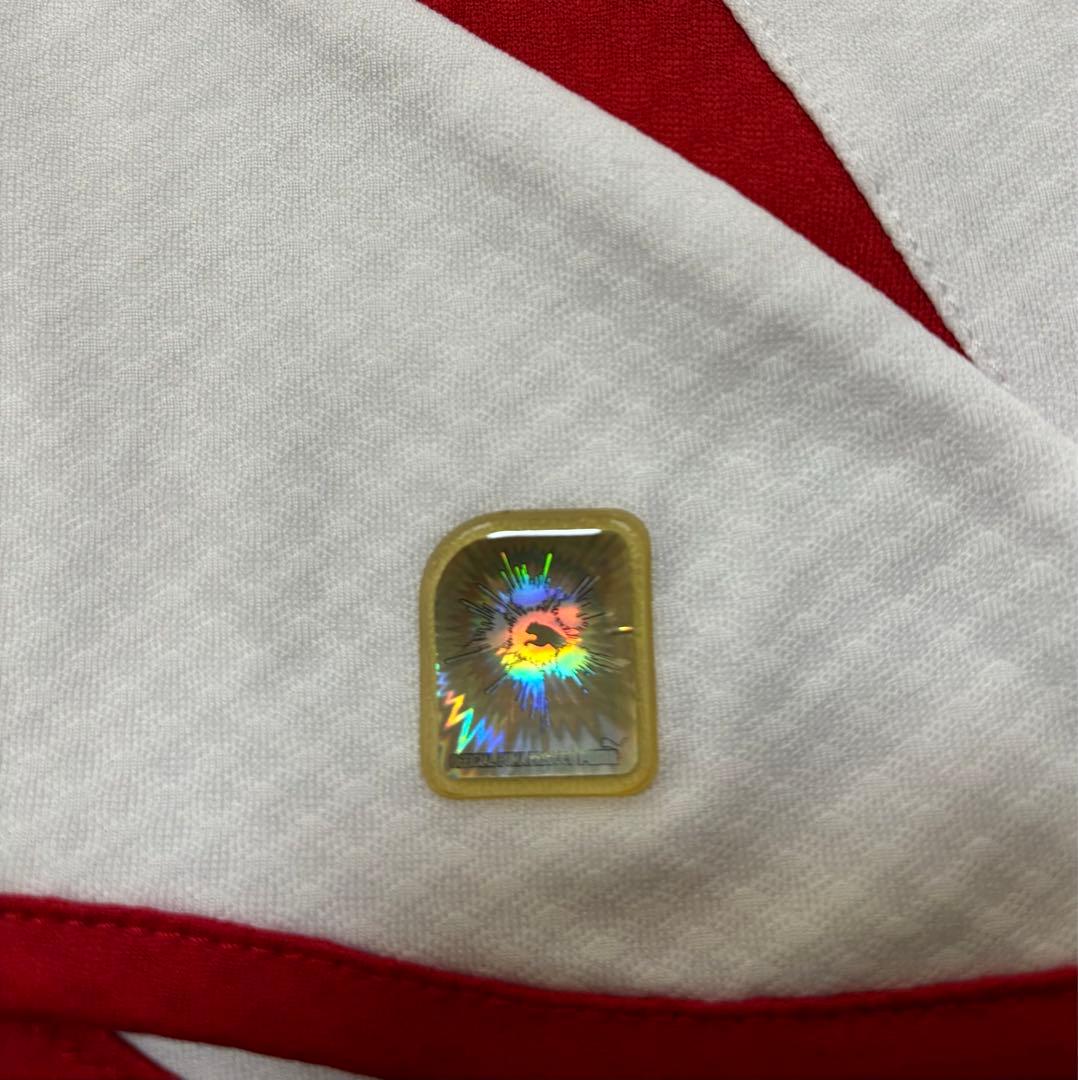 シュトゥットガルト　岡崎慎司選手　プーマ　ユニフォーム