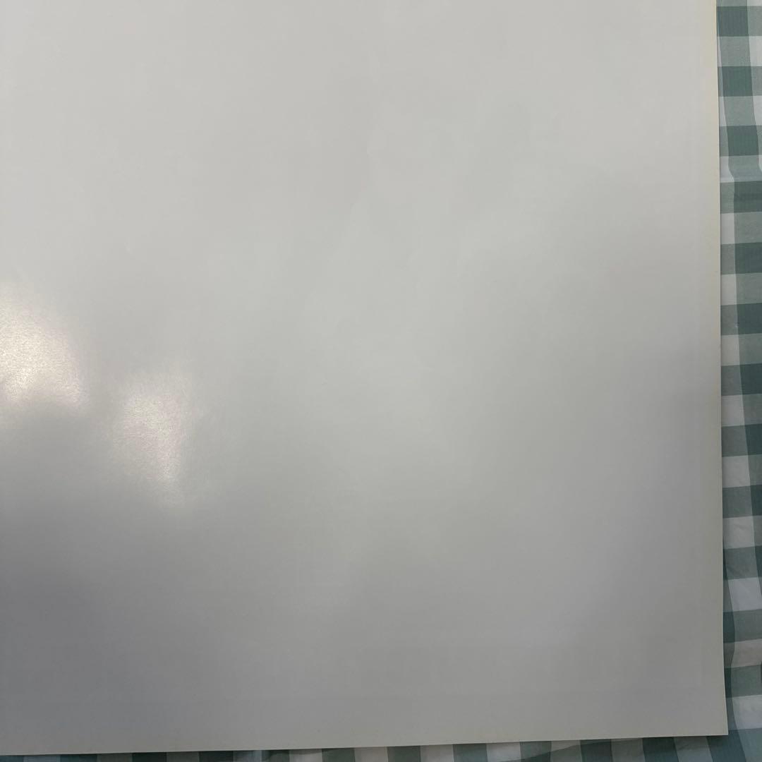 貴重・レア　ストリートファイター　コレクション　販促用　ポスター