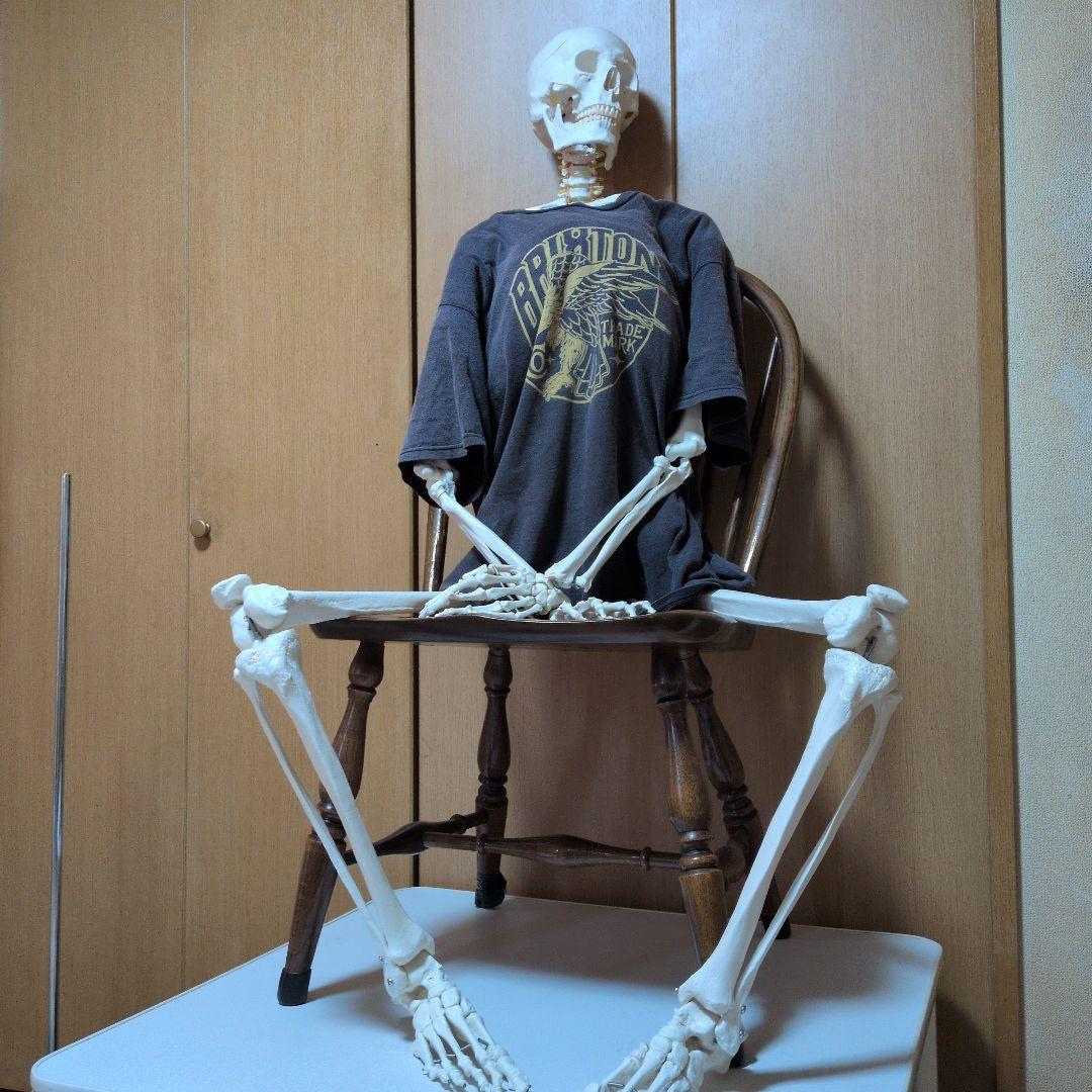 等身大人体骨格模型　 ハロウィン装飾　ドッキリなどにどうぞ！