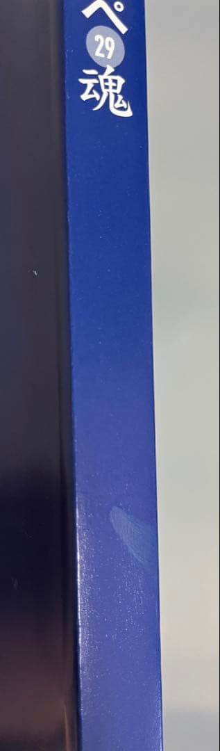 ネスペ　21、22、23、25、26、27、基礎力、29、30 セット