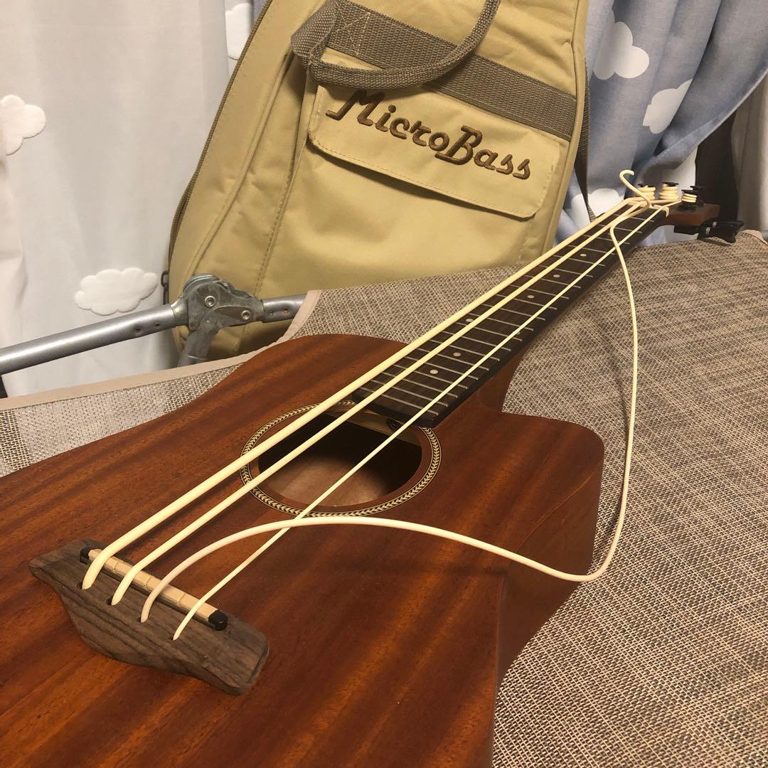 【ころぽっくる 】Gold Tone M-Bass マイクロベース