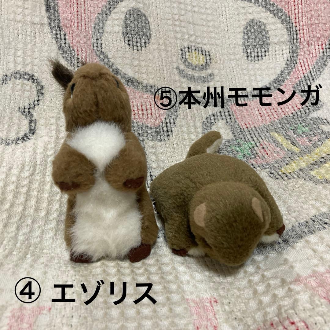 やまね工房　ぬいぐるみ　8コセット　中古品　落合けいこ