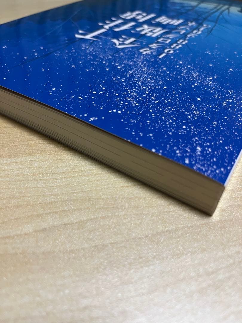 千住博 全版画 カタログレゾネ 1988-2015