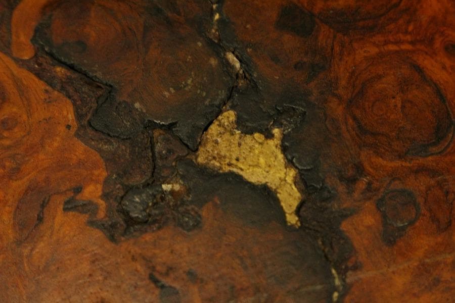 葡萄木 自然木 瘤 敷板 78cm×56cm 花梨 紅木 銘木(A466)