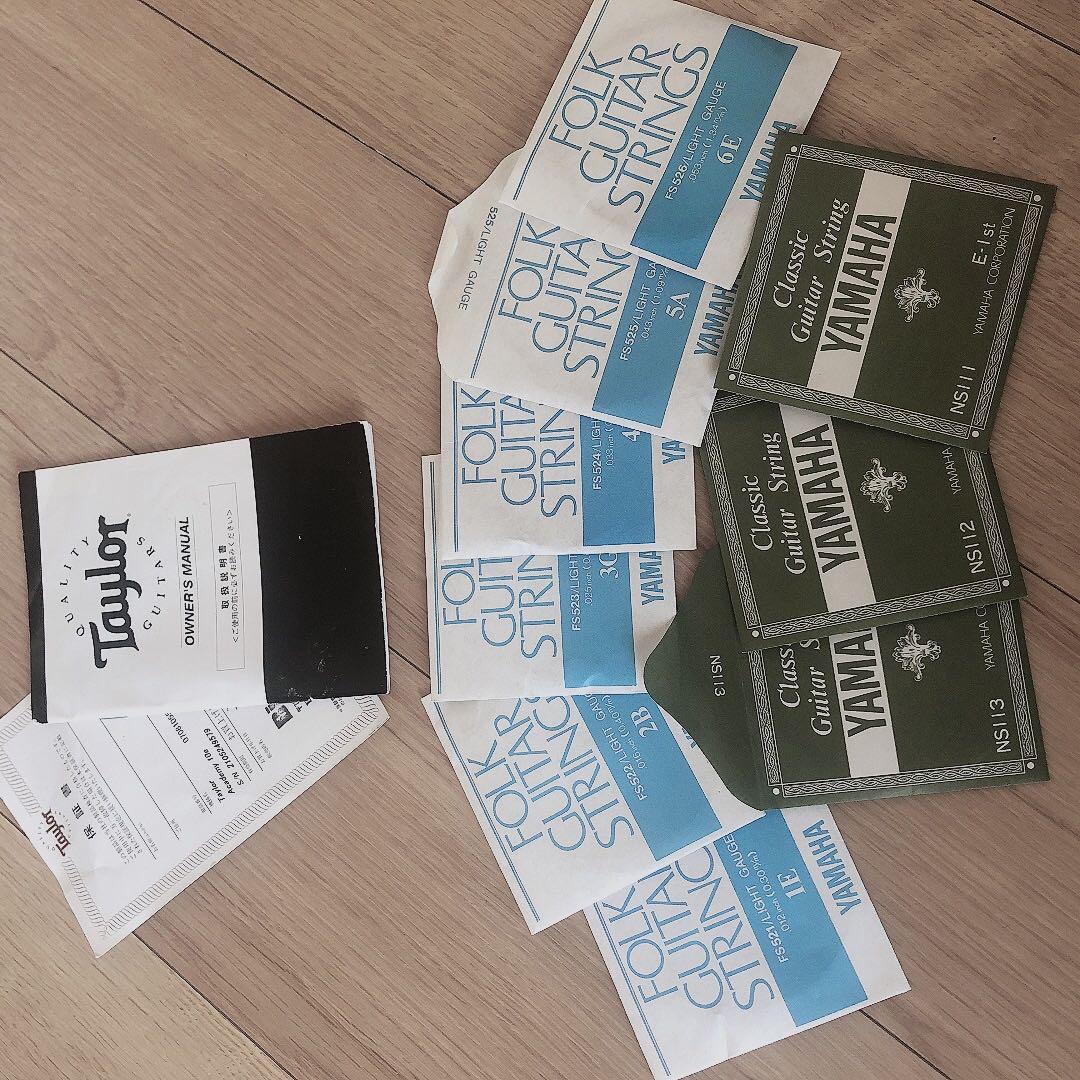 Taylor ギター　academy 10e