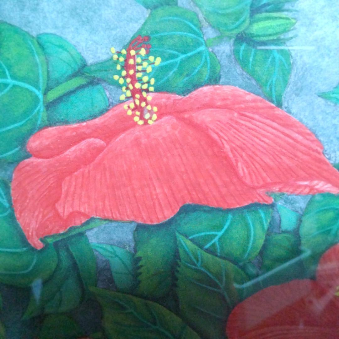 日本画 ハイビスカス アクリル アルミ額付き