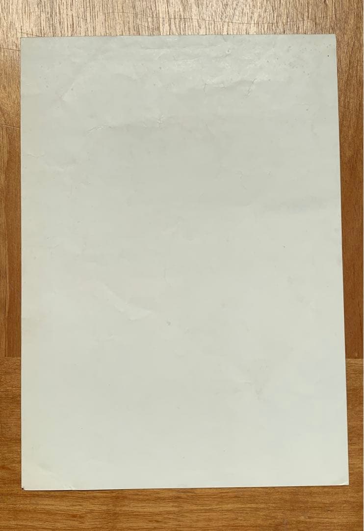 (激レア)ビートルズ　Beatles 日本ライブ　コンサート　チラシ