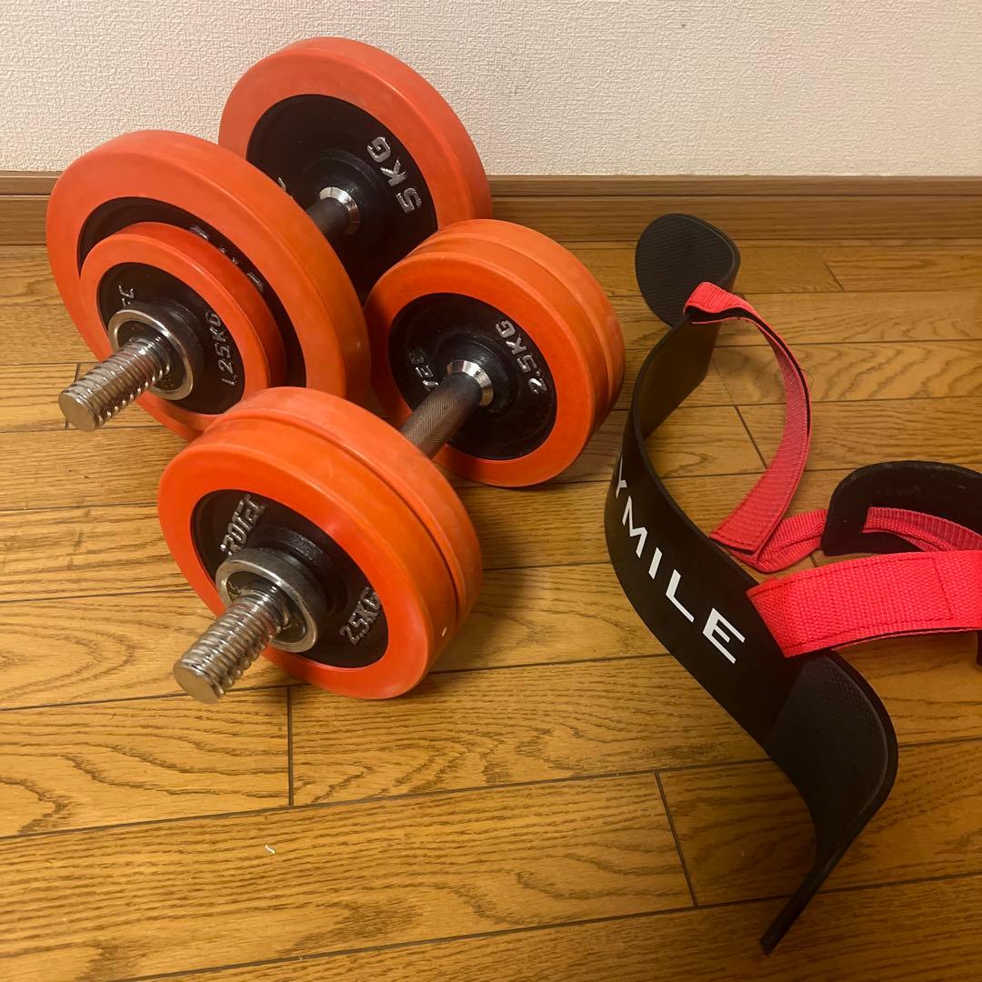 IROTEC ラバー ダンベル EVERYMILE アームカールプレート