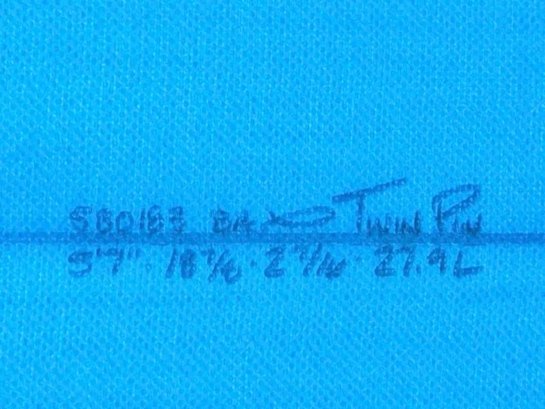 CI マイキーフェブラリーツインピン Twin Pin5’7”サンタバーバラ製