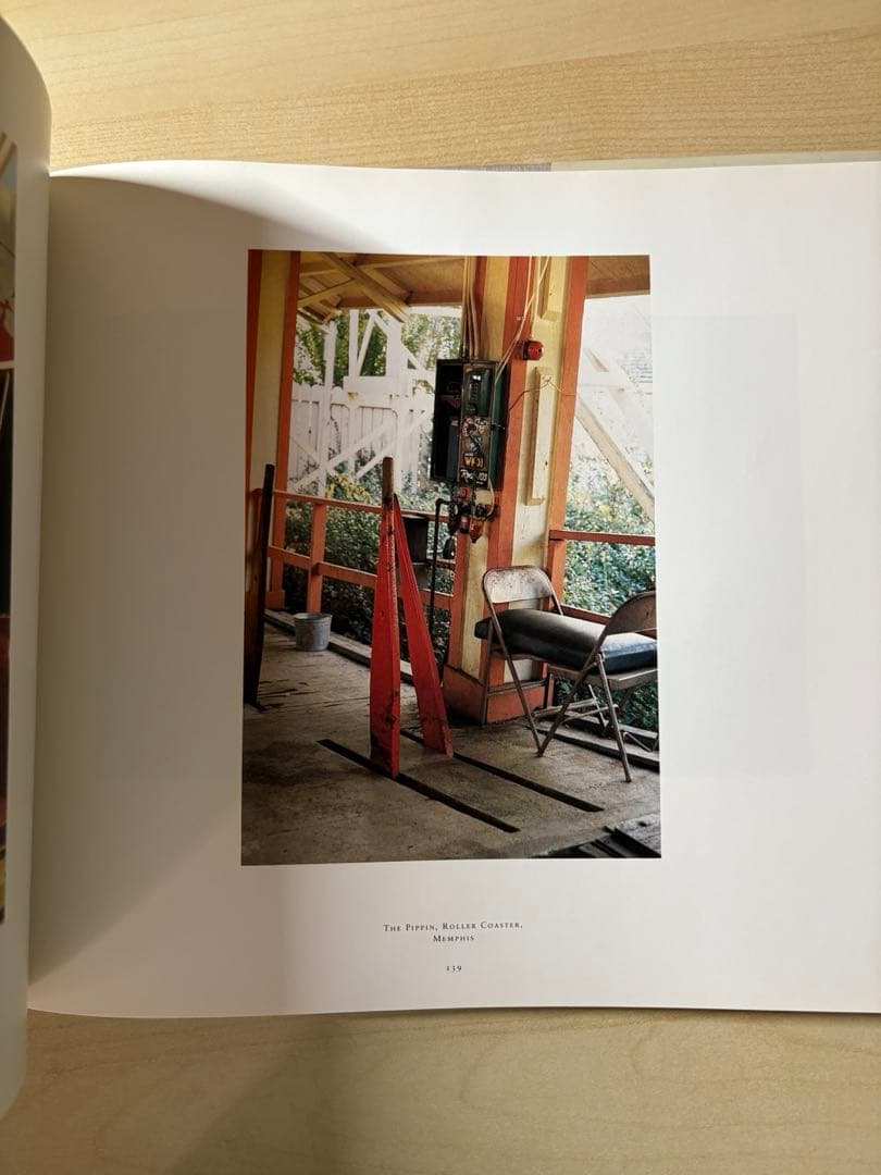 アート・デザイン・音楽 William Eggleston The Democratic Forest