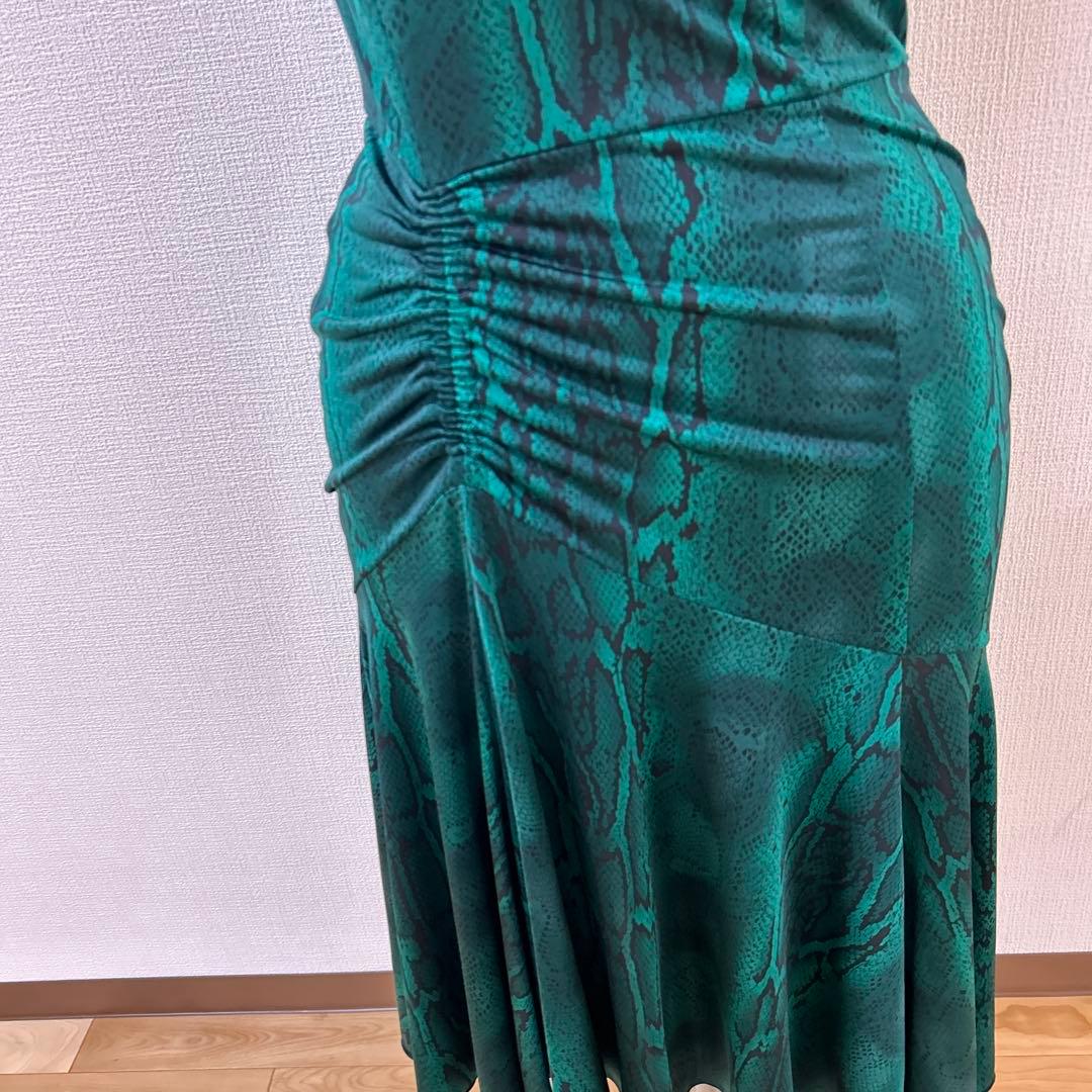 チャコット社交ダンスラテンワンピース緑ヘビ柄