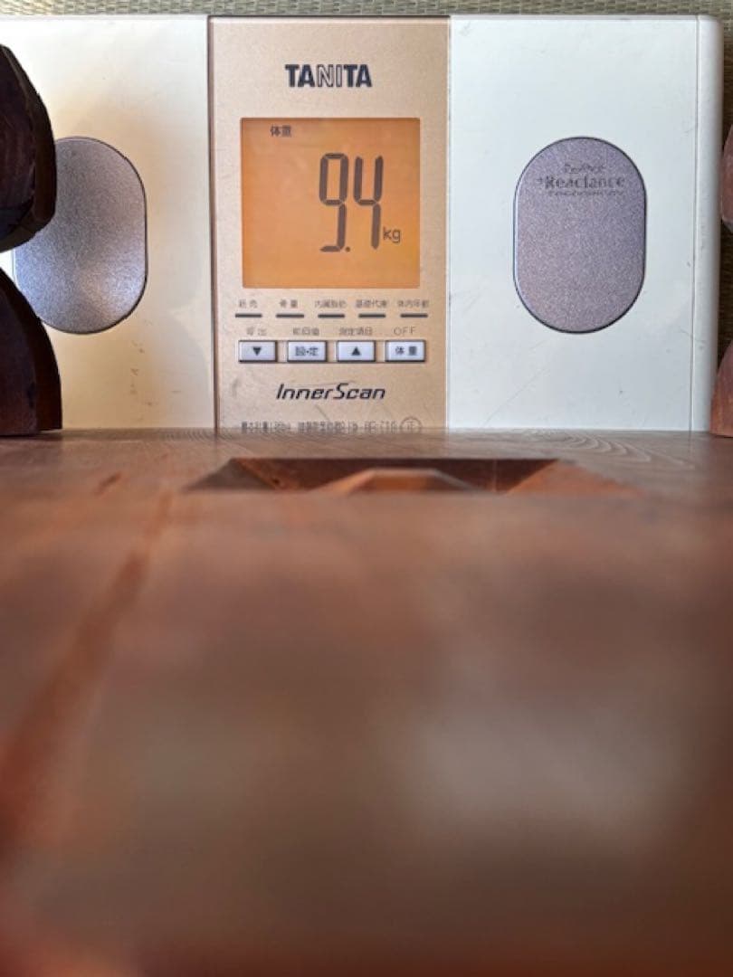 い*ぬ様 碁石蛤白石厚み約9.4mm那智黒黒石碁笥・碁盤付囲碁道具スワブテ日向本