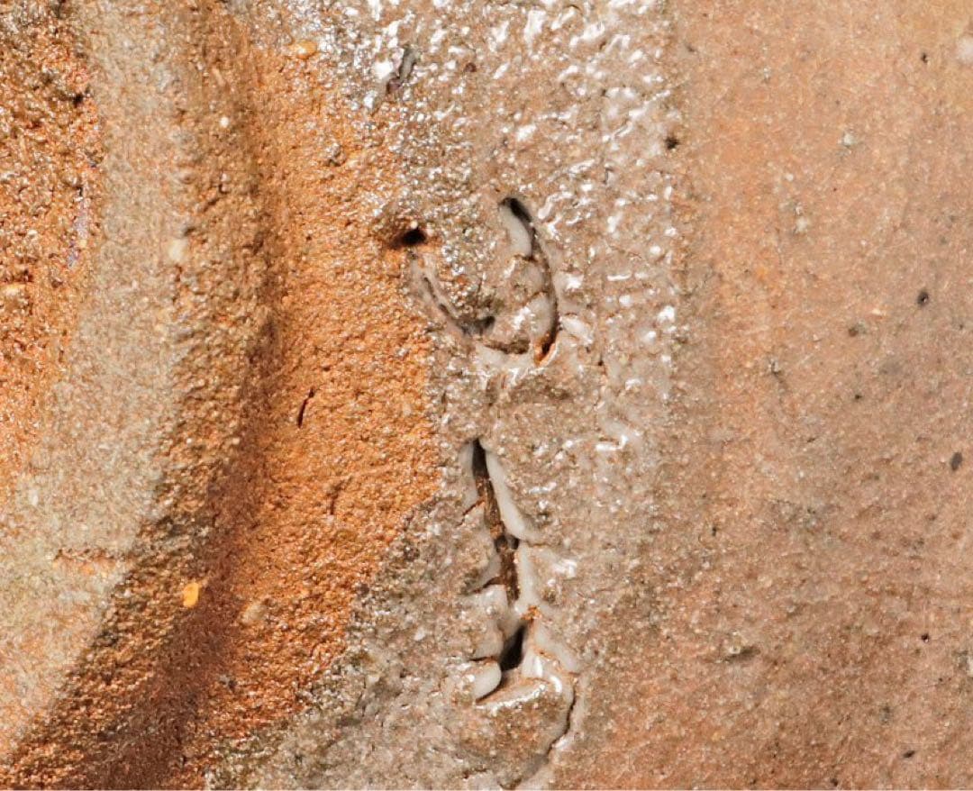 ★西岡小十唐津茶碗岡本作礼茶道具小島直喜川上清美矢野直人中川自然坊安永頼山大前悟