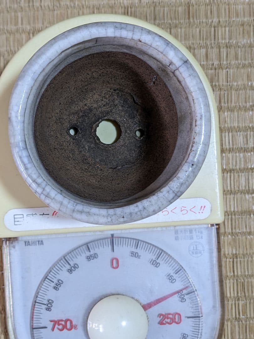 ♦小品盆栽鉢 侘助造 白泥 ミニ盆栽鉢 古美術 骨董品