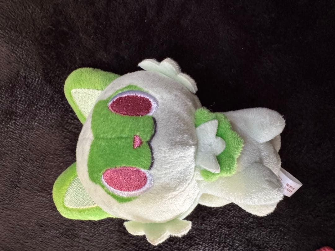 ポケモンまとめ売り