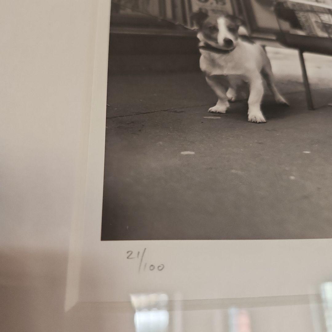 JON ONGKIEHONG 「 PLACE DE COSTA RICA」アート