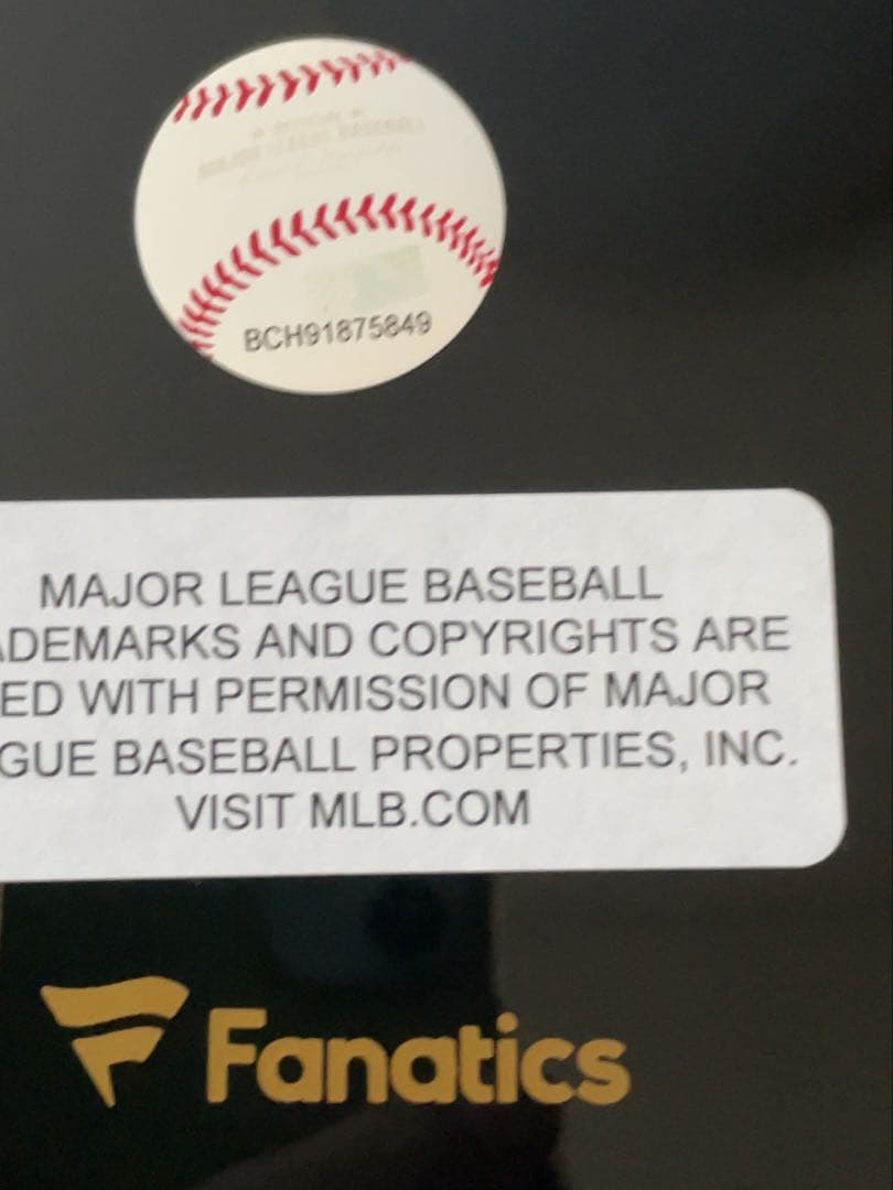 大谷翔平、山本由伸、佐々木朗希 直筆トリプルサインボール