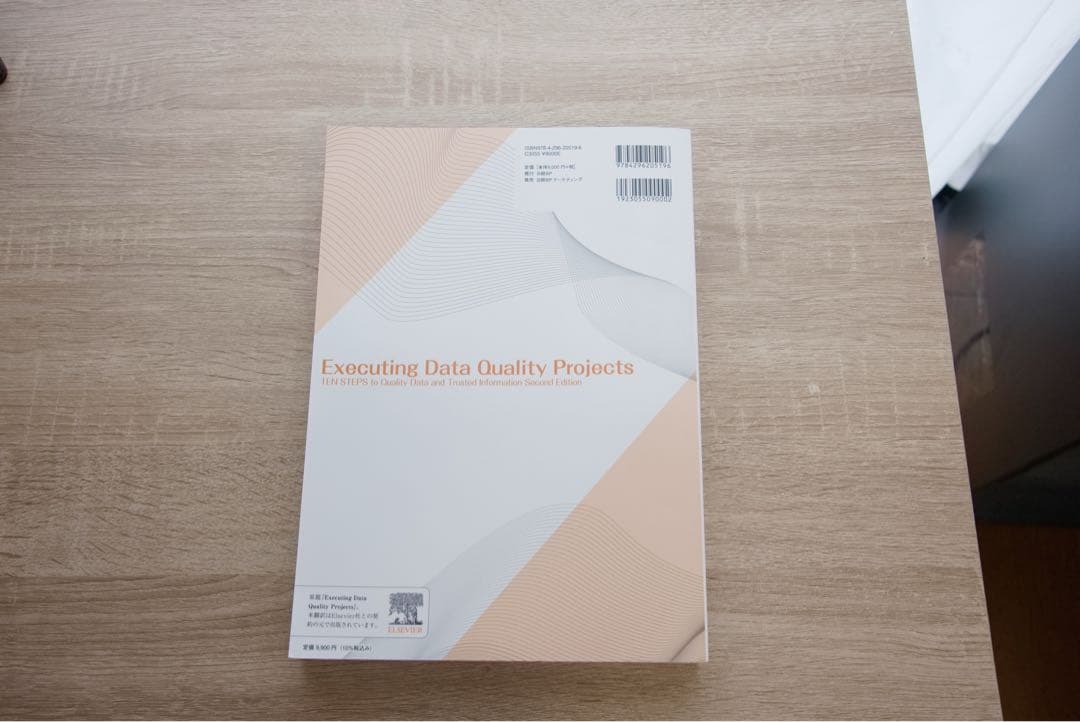 美品・未使用　データ品質プロジェクト実践ガイド
