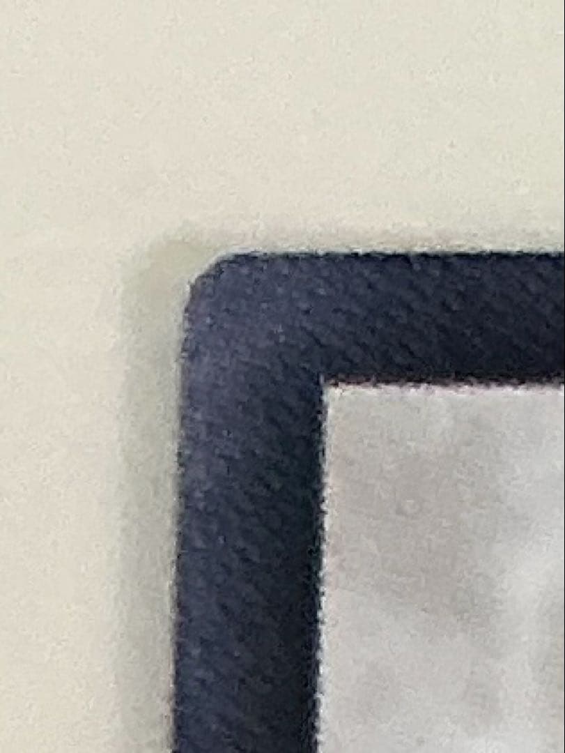 【極極美品】遊戯王　スターダスト・ドラゴン レリーフ　TDGS-JP040