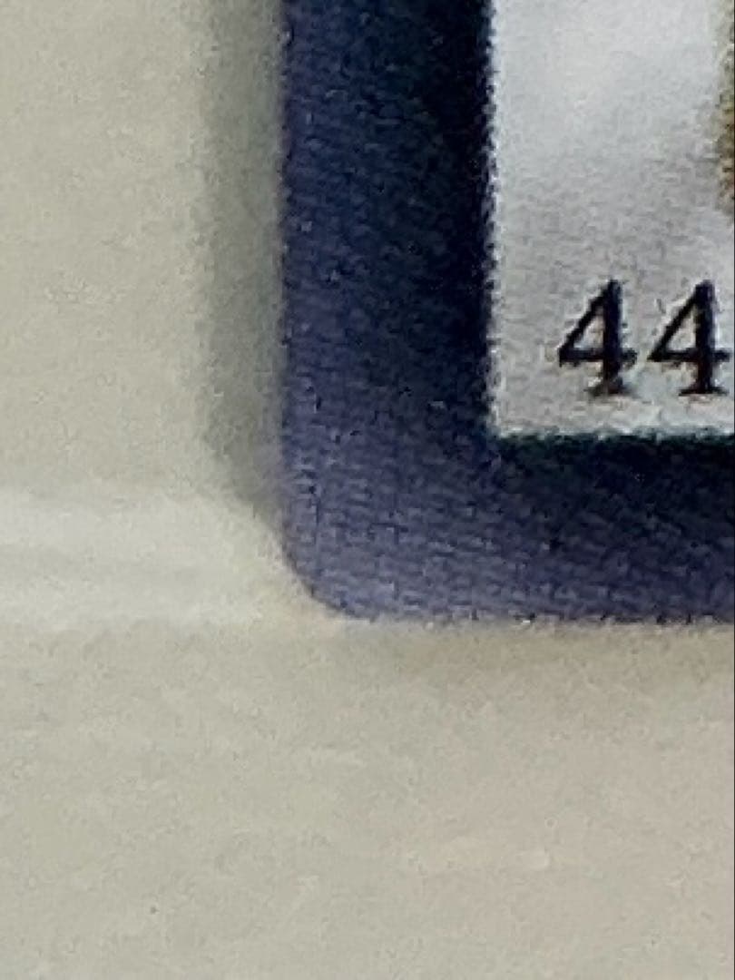 【極極美品】遊戯王　スターダスト・ドラゴン レリーフ　TDGS-JP040