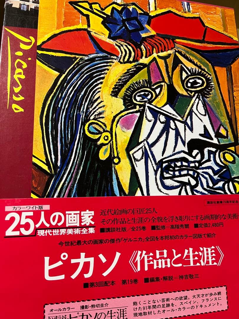 現代世界美術全集25人の画家 アートコレクション全巻セット