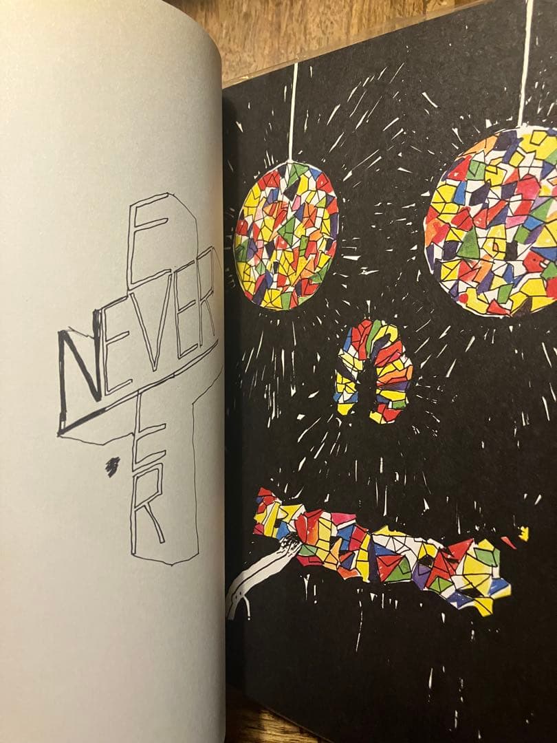 100部限定Stefan Marx ステファンマルクス　アート作品集Nieves