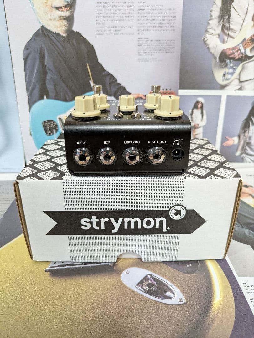 【美品】国内正規品 strymon FLINT V1トレモロ&リバーブ