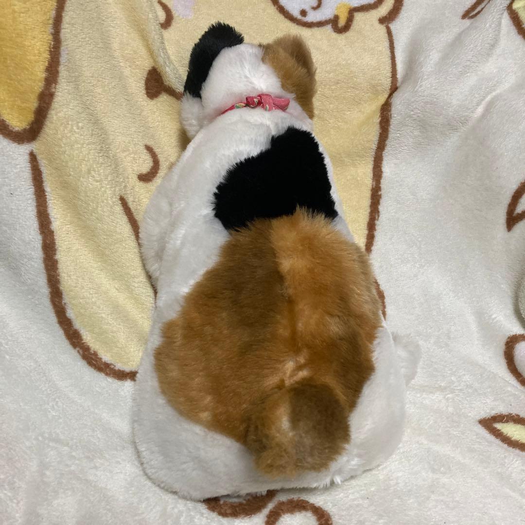 cuddly カドリー　小春　鈴ハートの穴　三毛猫　ぬいぐるみ　中古品