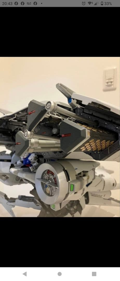 HG デンドロビウム　塗装済 完成品