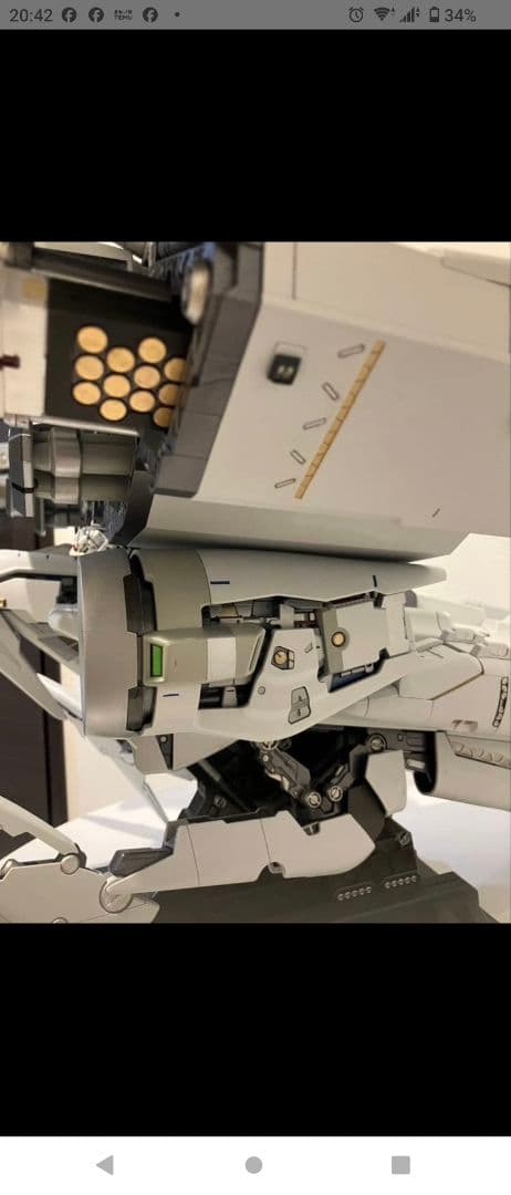 HG デンドロビウム　塗装済 完成品