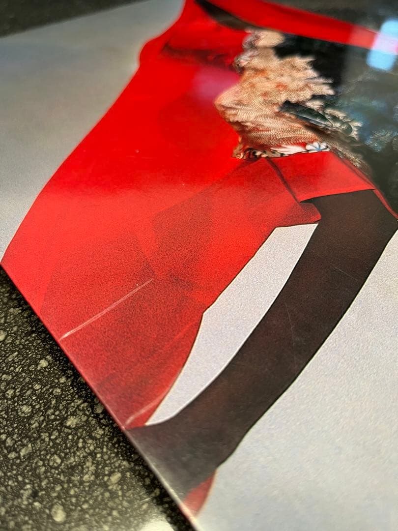 ⭐︎セール！3/9まで⭐︎　三宅一生の発想と展開 ISSEY MIYAKE